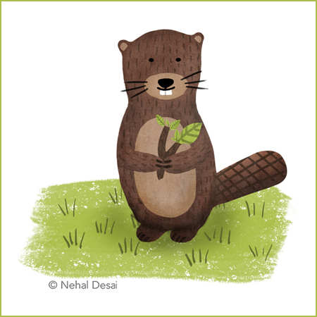 Beaver by Nehal Desai small