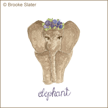 Elephant by Brooke Slater small