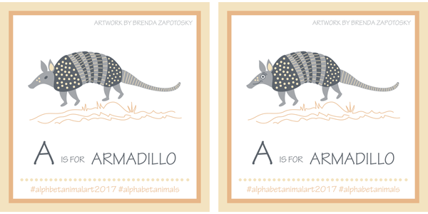Armadillo Illustration by Brenda Zapotosky