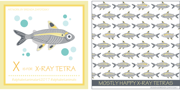 X Ray Tetra Illustration by Brenda Zapotosky