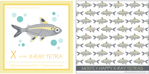 X Ray Tetra Illustration by Brenda Zapotosky