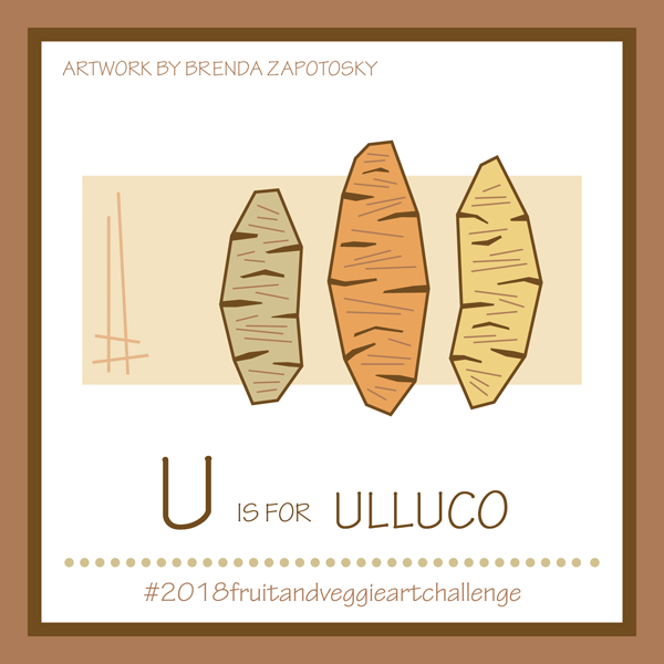 U is for Ulluco by Brenda Zapotosky